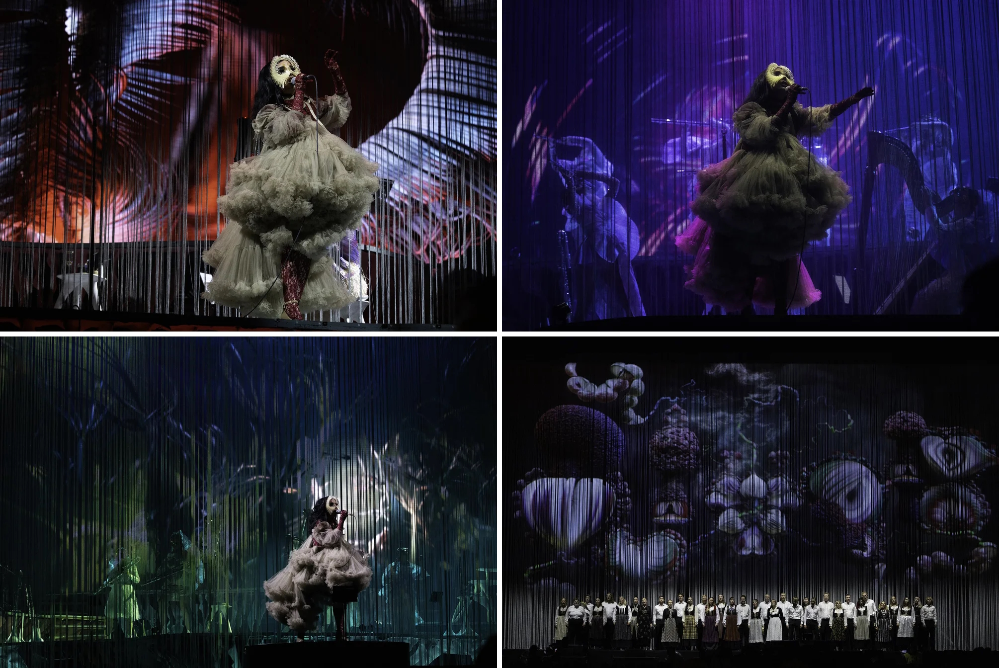 Björk Cornucopia