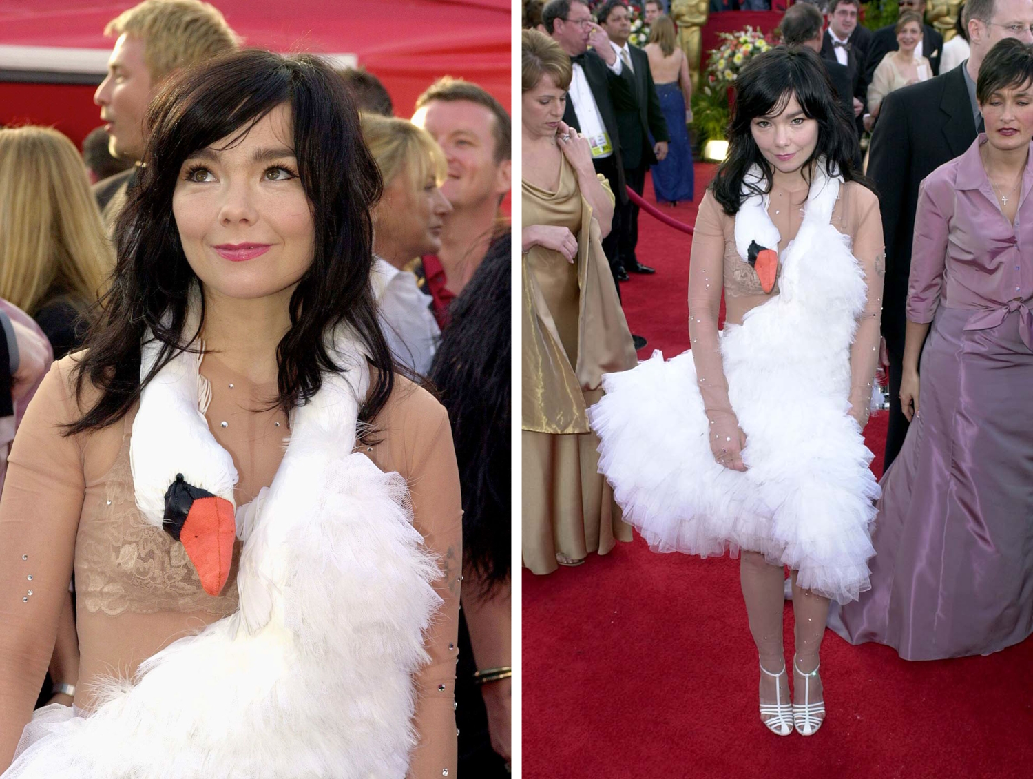 Björk Swan Dress