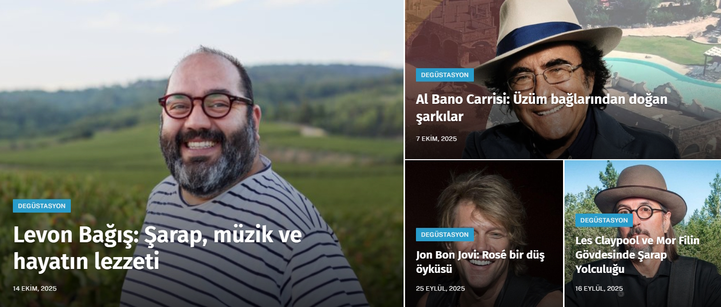 Degüstasyon, Mine Gürevin, 