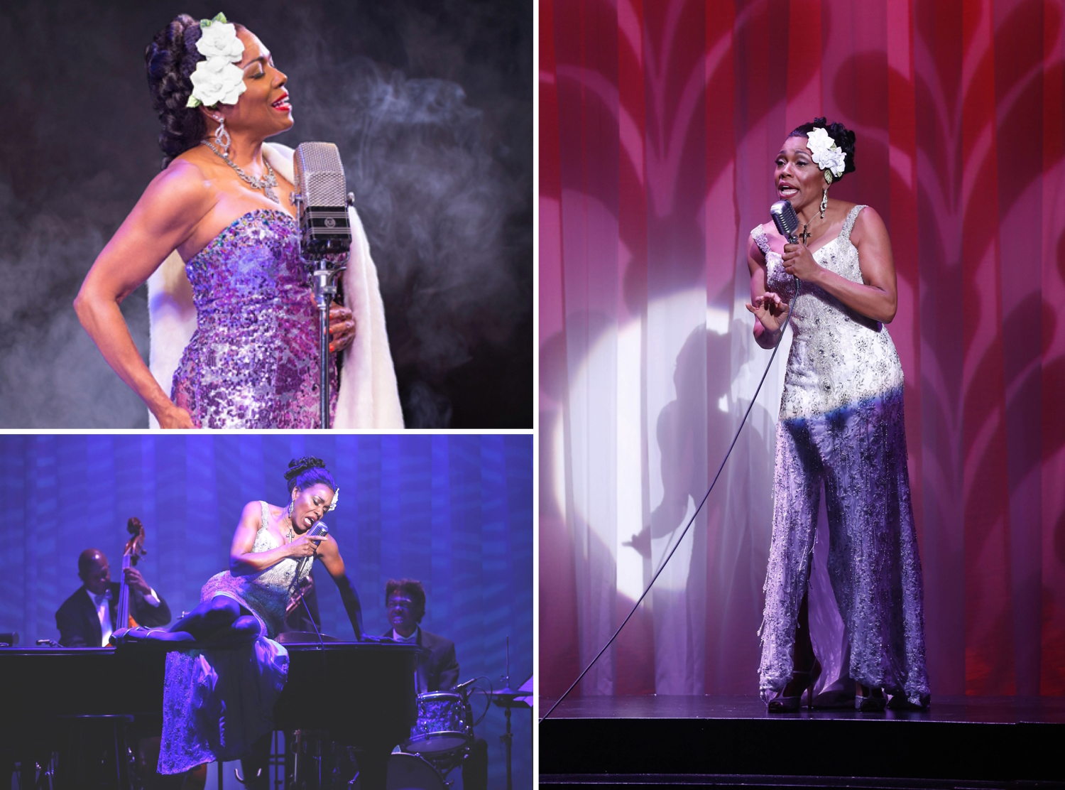 Dee Dee Bridgewater, Lady Day, Billie Holiday