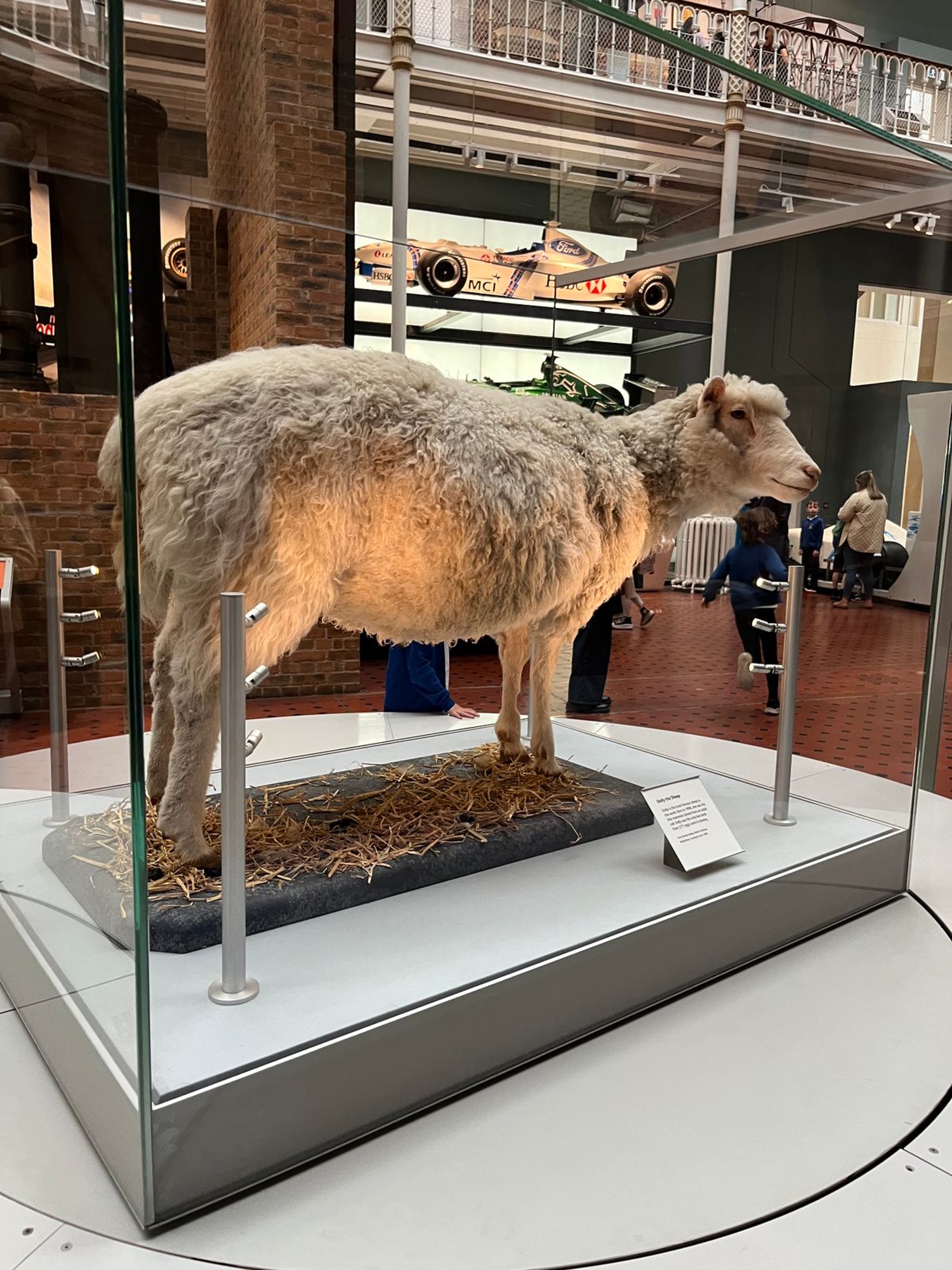 Dolly İskoçya Ulusal Müzesi'nde (National Museum of Scotland)